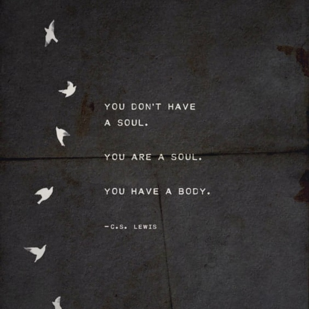 Meet your Posher, Will